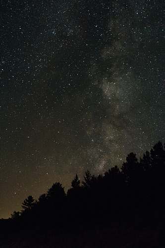 milky way stars and trees during night time iphone wallpapers